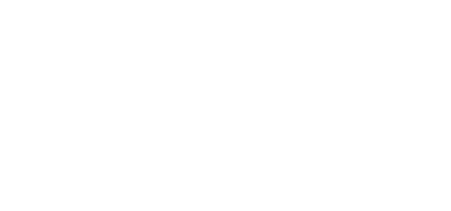 Viraj logo